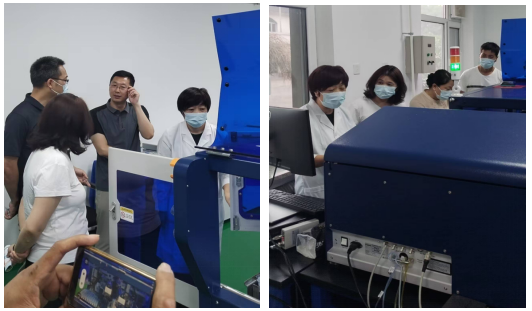 成人网站