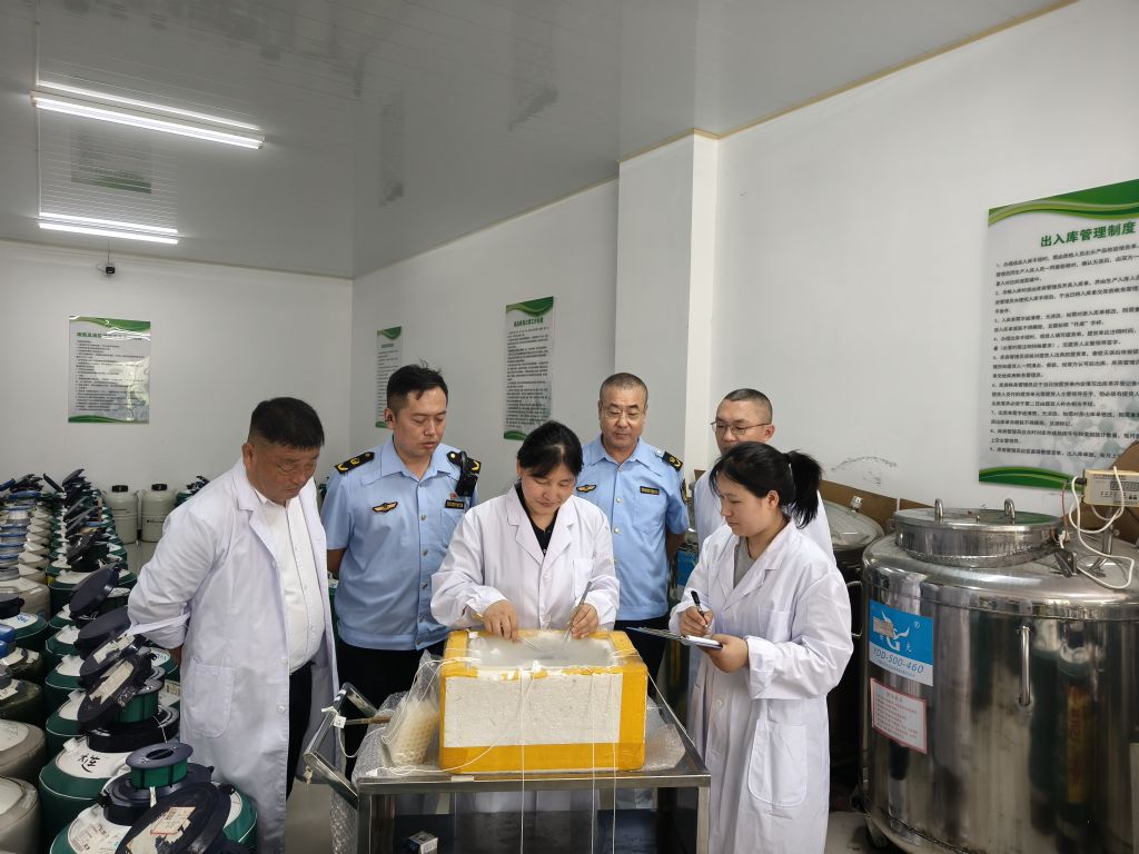 成人网站