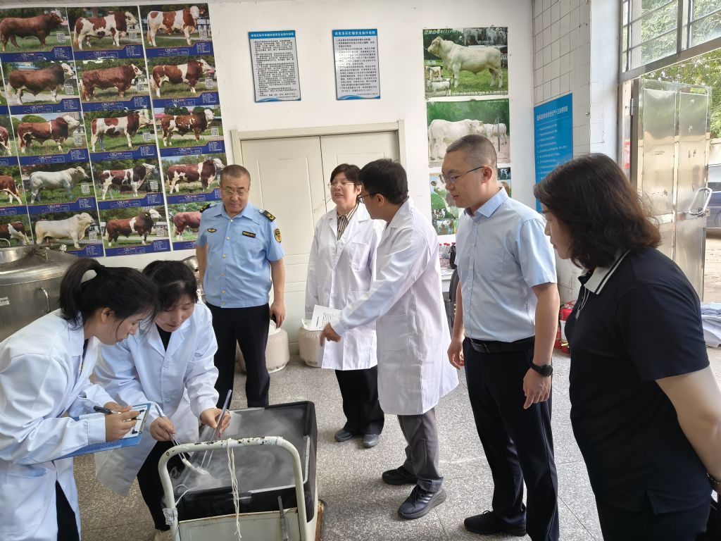 成人网站