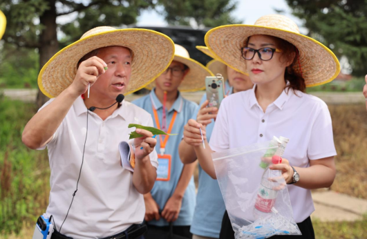 成人网站