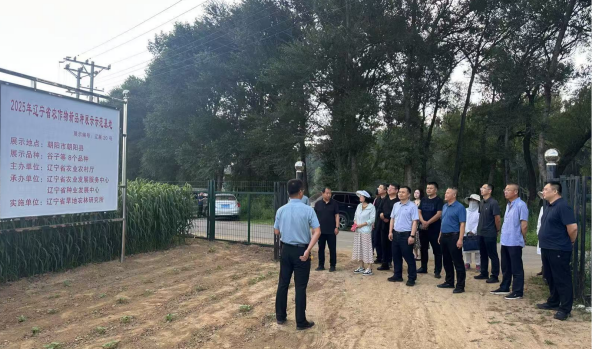 成人网站