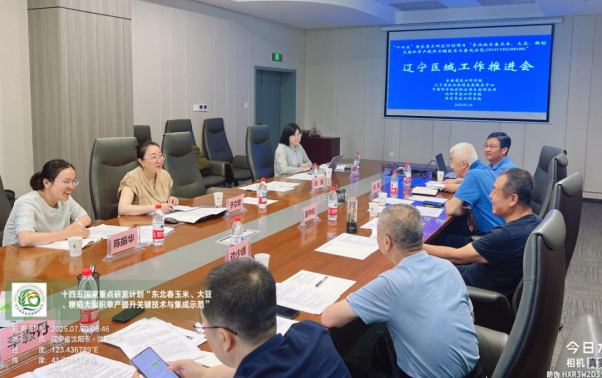 成人网站