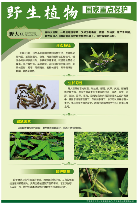 成人网站