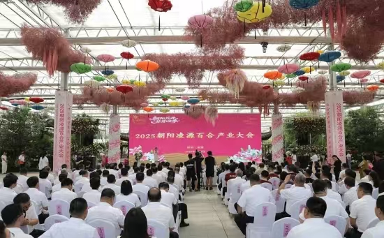 成人网站