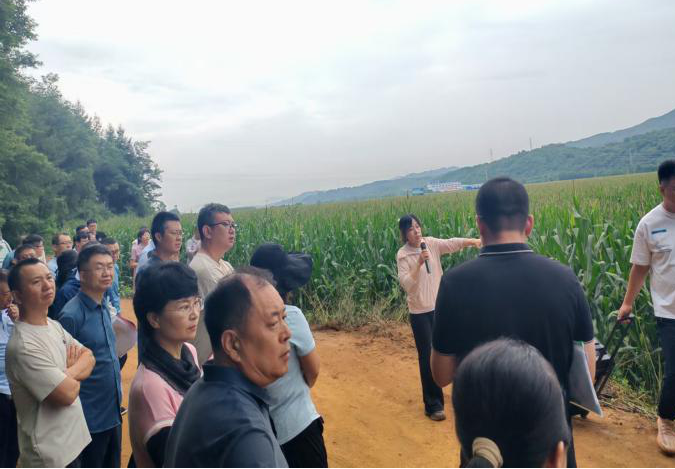成人网站