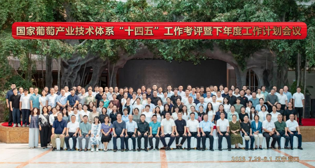 成人网站