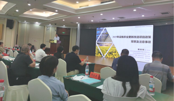 成人网站