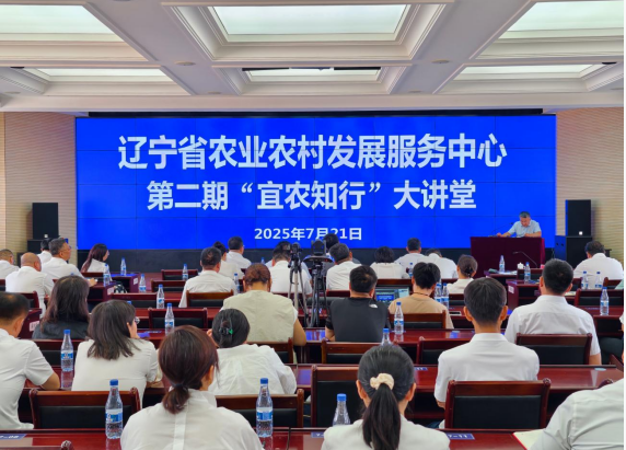 成人网站