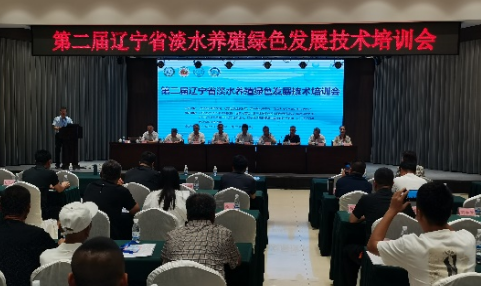 成人网站