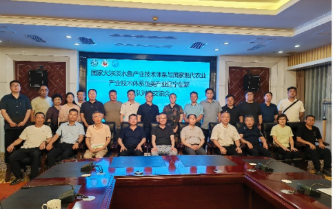 成人网站