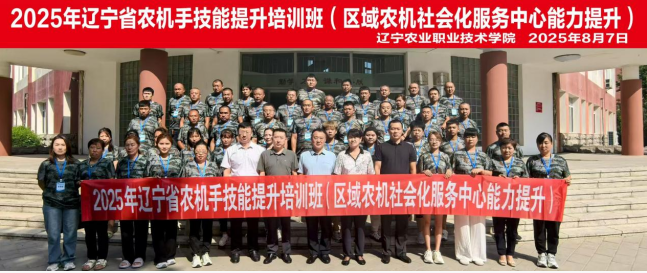 成人网站
