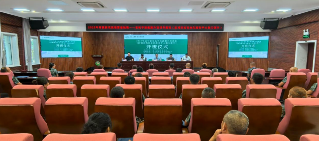 成人网站