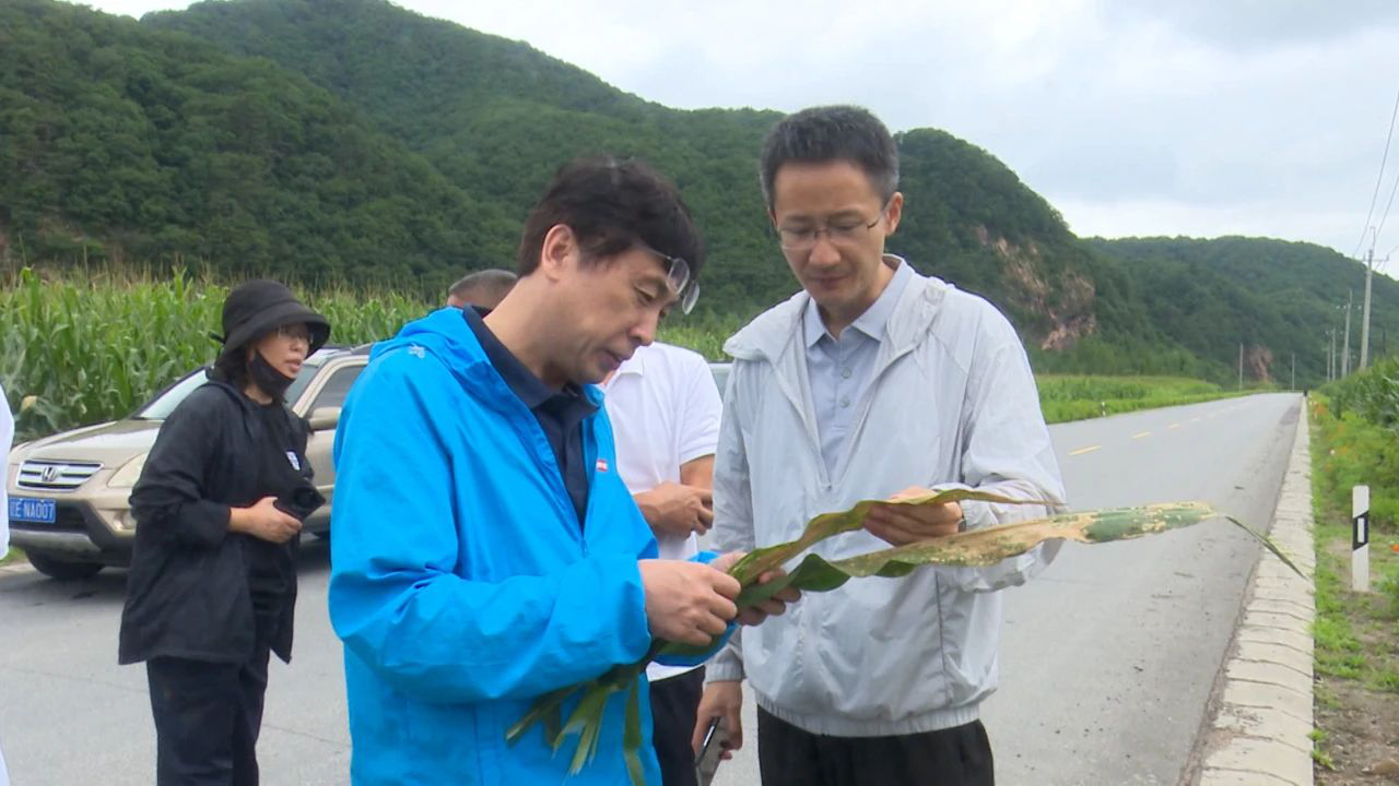 成人网站