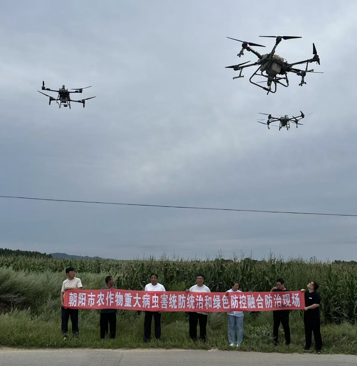 成人网站