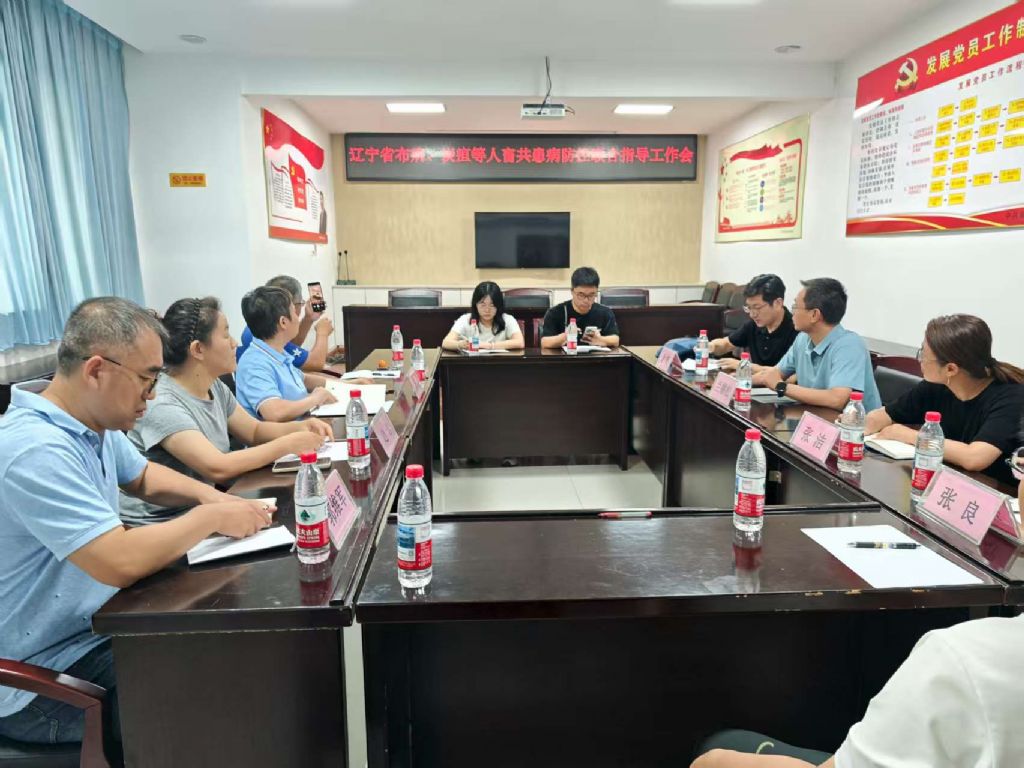 成人网站