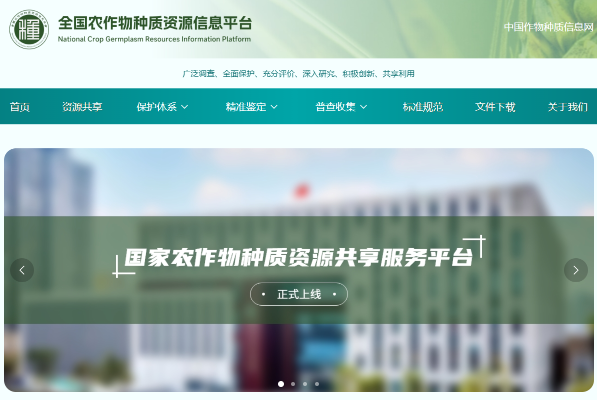 成人网站
