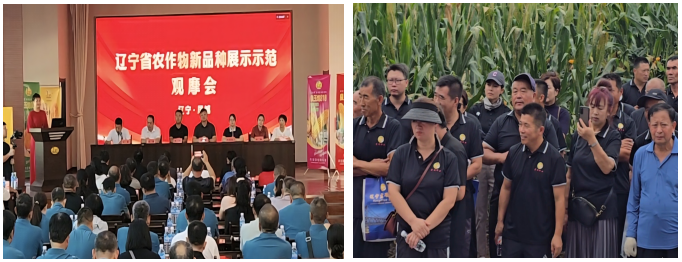 成人网站