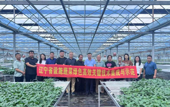 成人网站