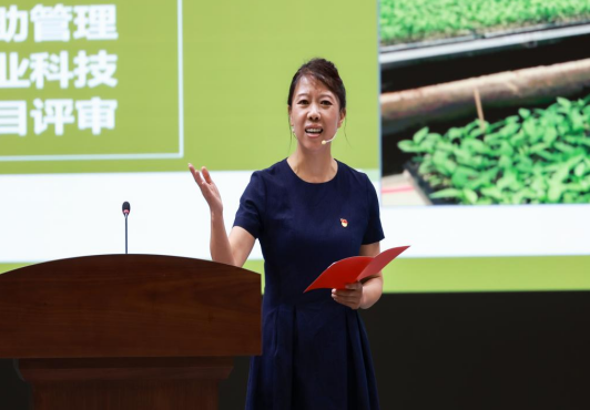 成人网站