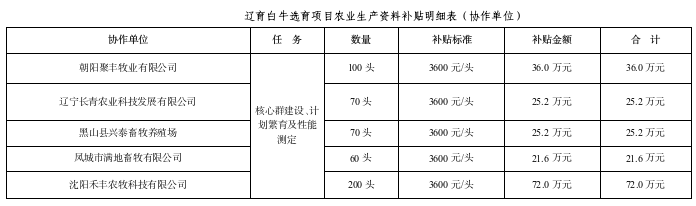 成人网站