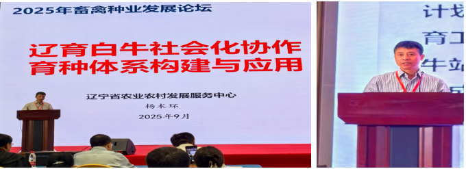 成人网站