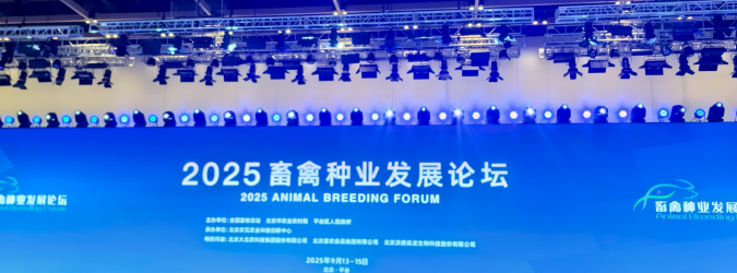 成人网站