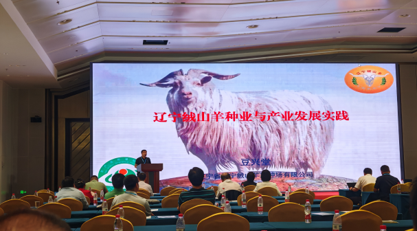 成人网站