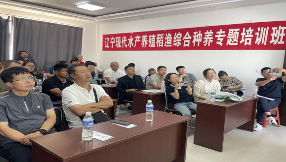 成人网站
