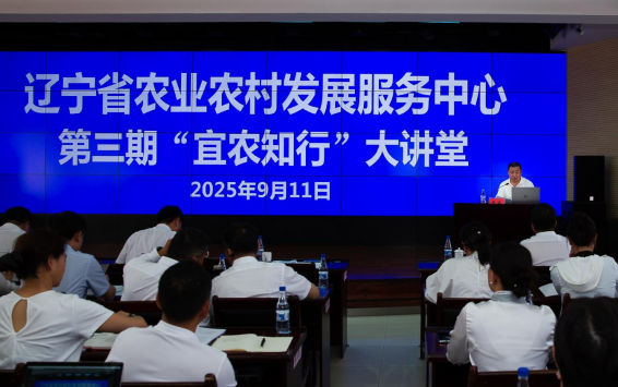 成人网站
