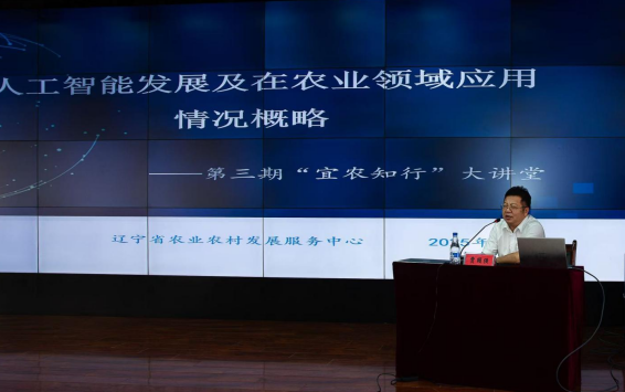 成人网站