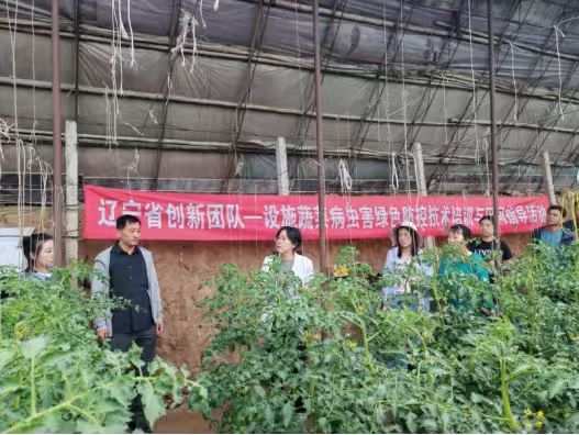 成人网站