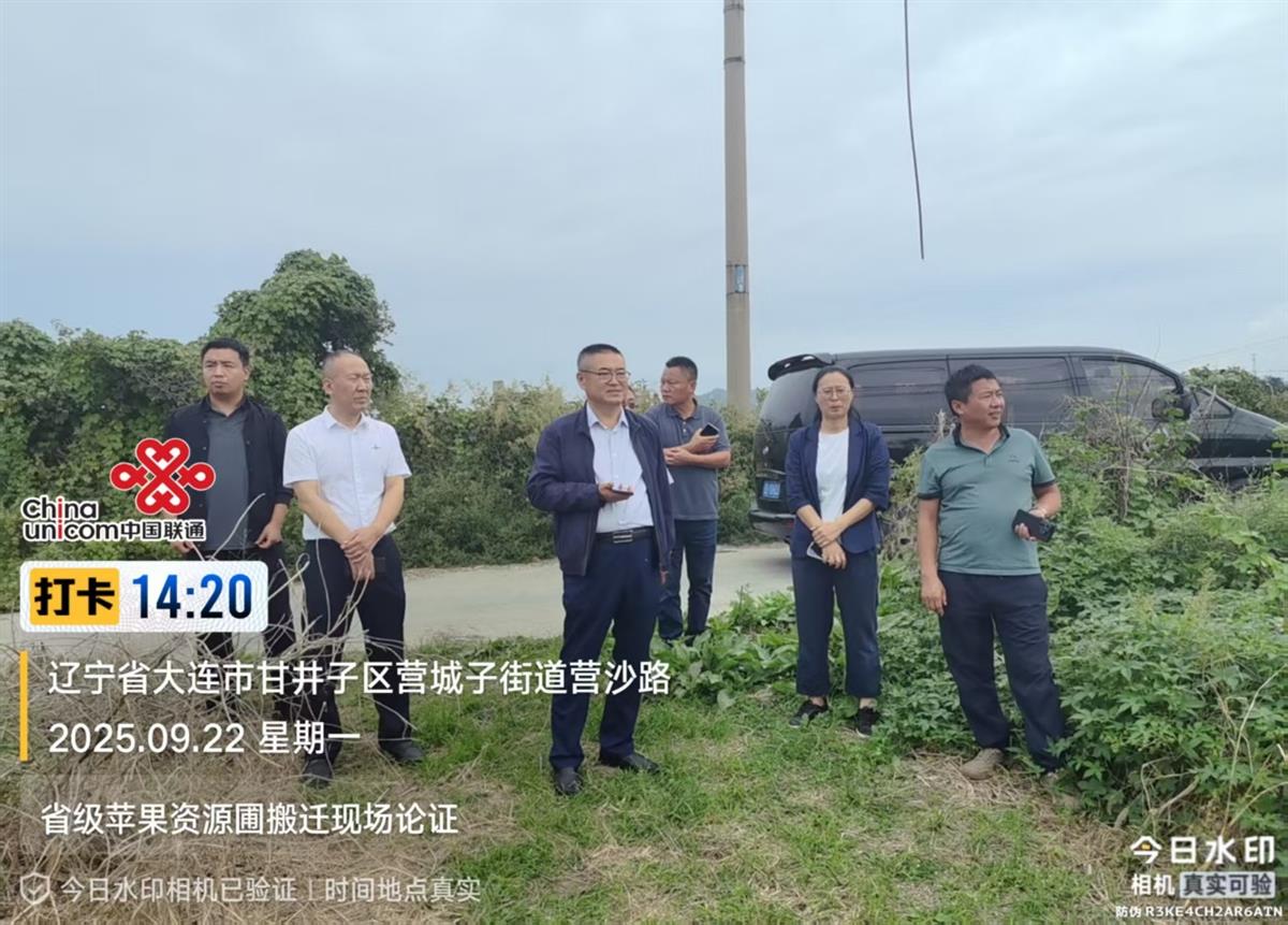 成人网站