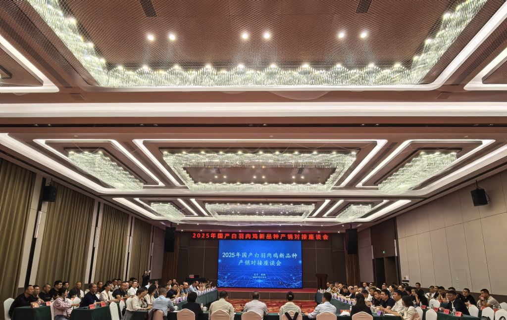 成人网站