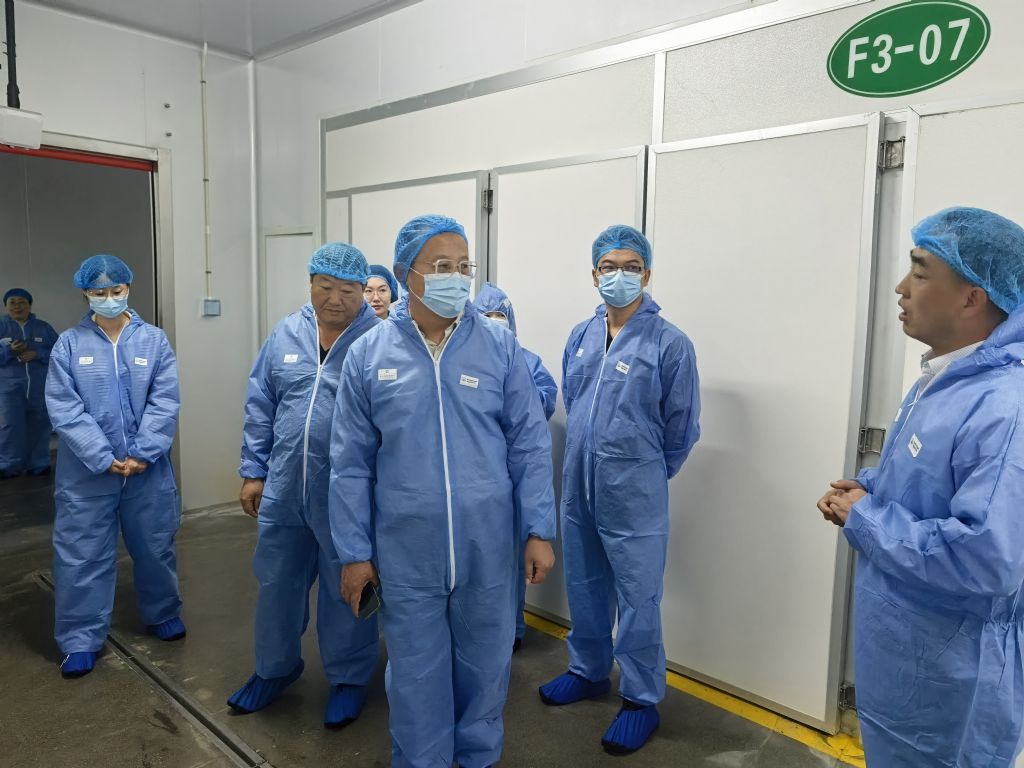 成人网站