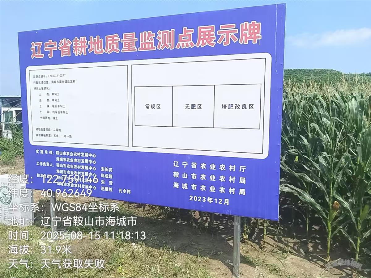 成人网站