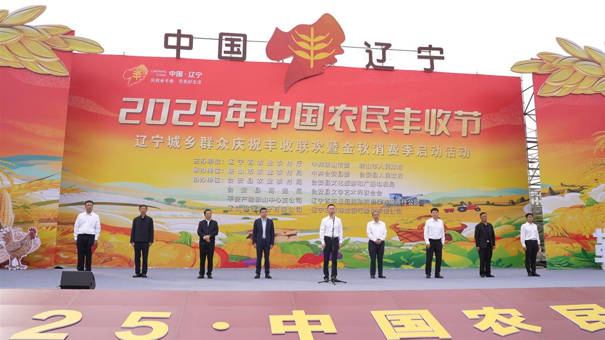 成人网站