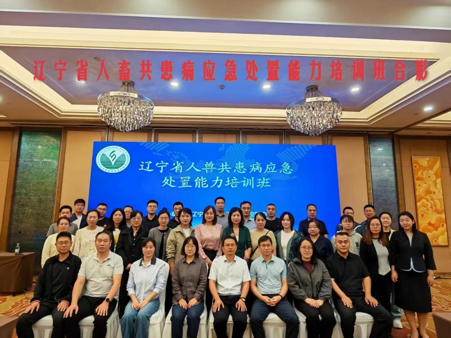 成人网站