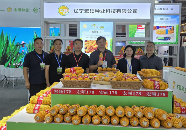 成人网站