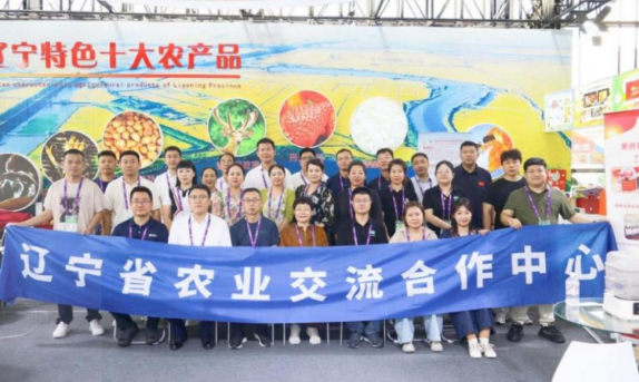 成人网站