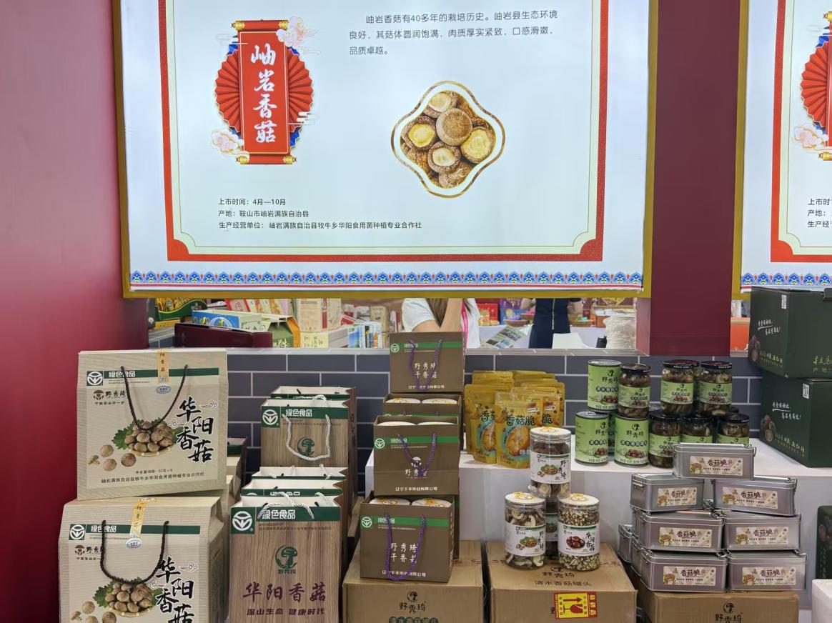 成人网站