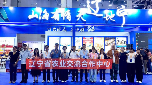 成人网站