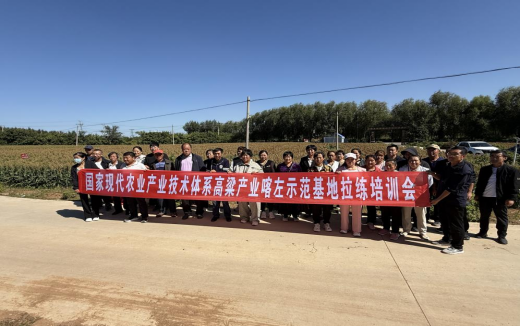 成人网站