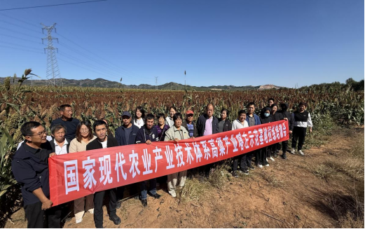 成人网站
