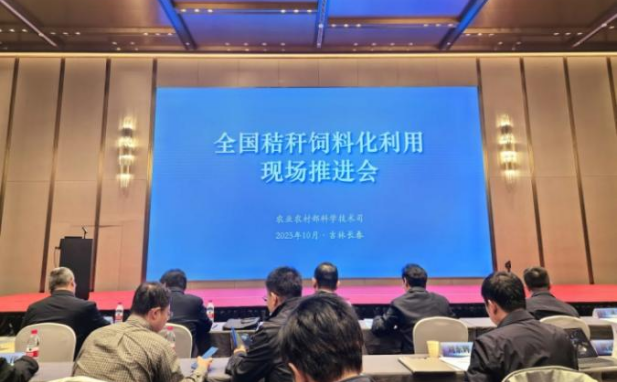 成人网站
