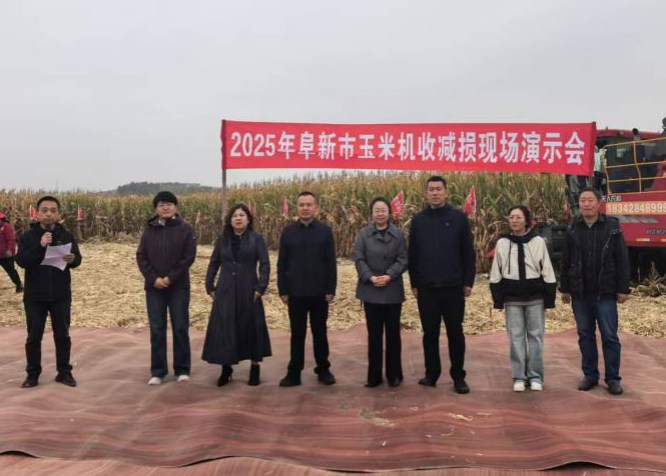 成人网站