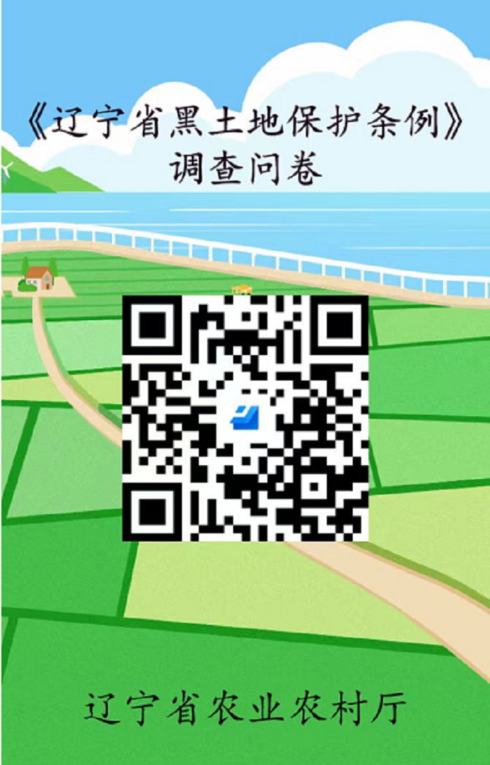 成人网站