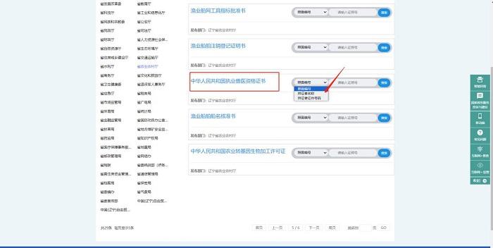成人网站