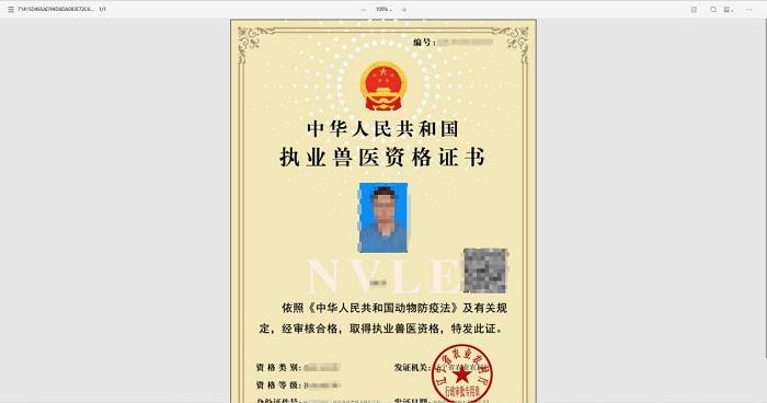 成人网站