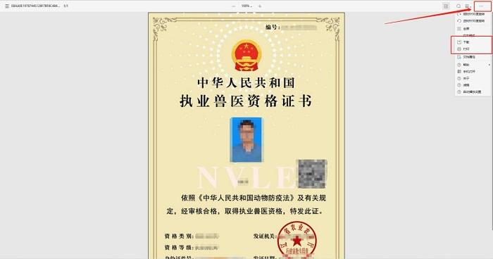 成人网站