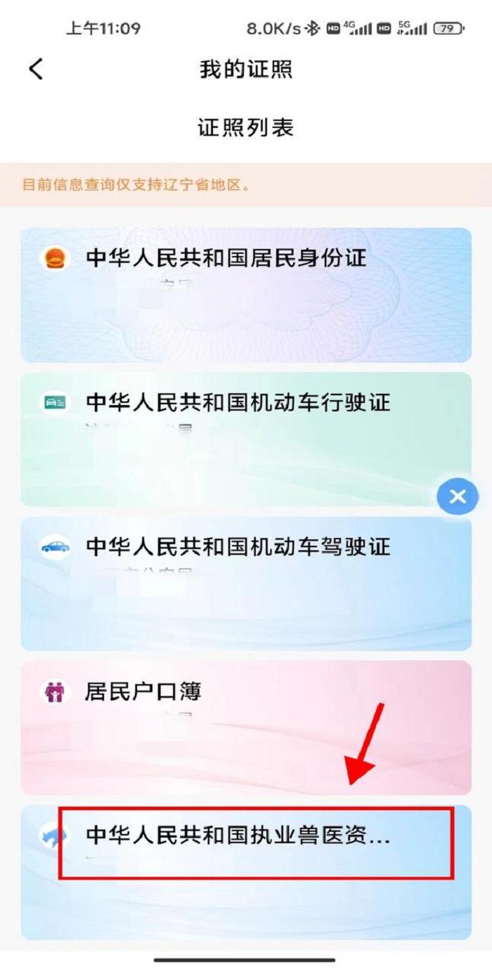 成人网站